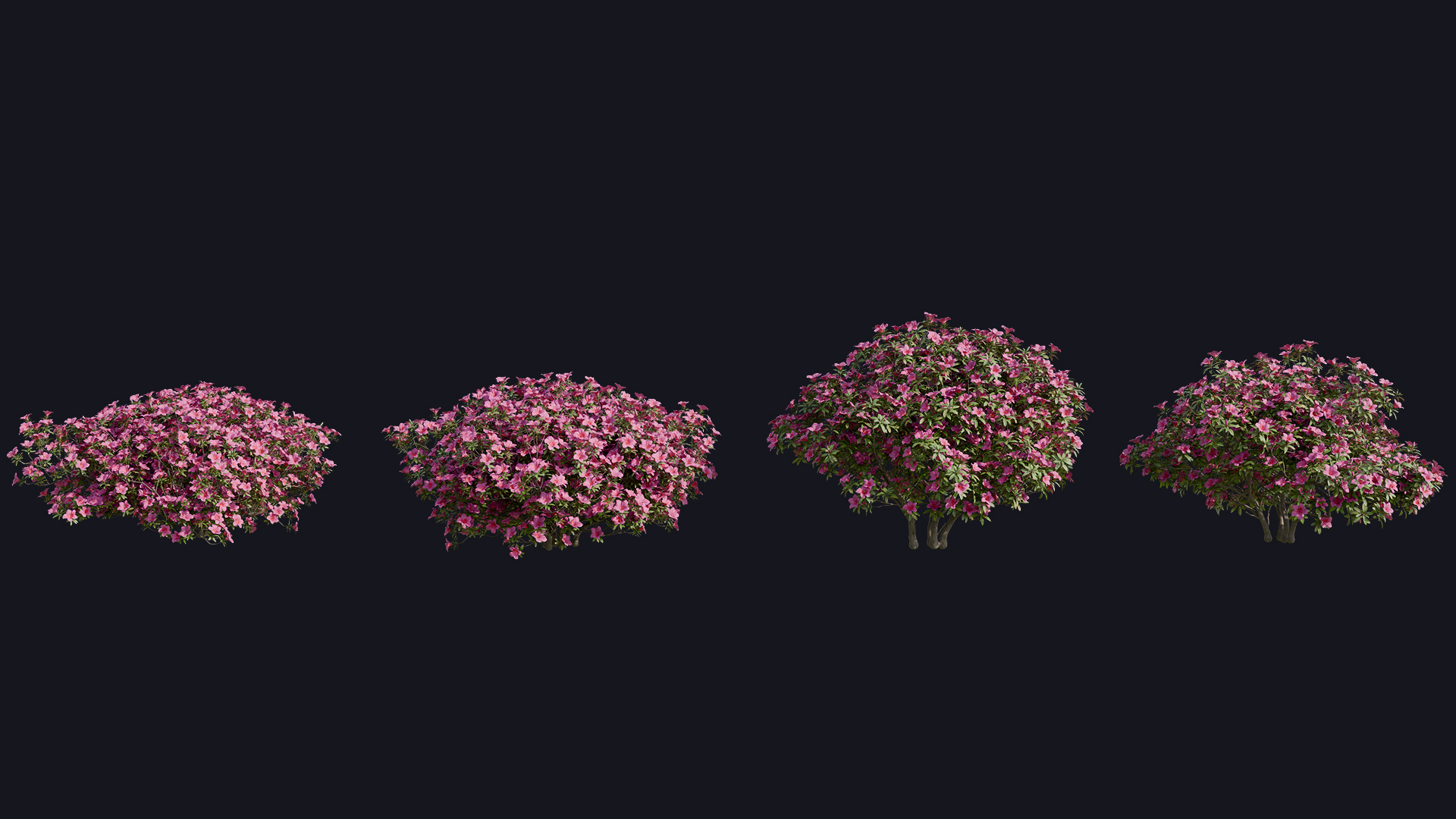 Flower Bushes preview